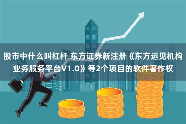 股市中什么叫杠杆 东方证券新注册《东方远见机构业务服务平台V1.0》等2个项目的软件著作权