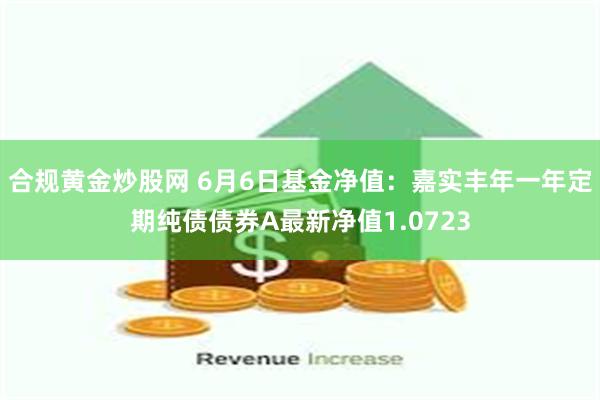 合规黄金炒股网 6月6日基金净值：嘉实丰年一年定期纯债债券A最新净值1.0723