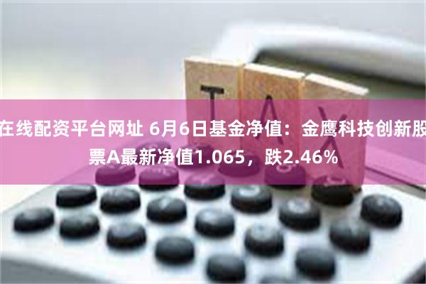 在线配资平台网址 6月6日基金净值：金鹰科技创新股票A最新净值1.065，跌2.46%