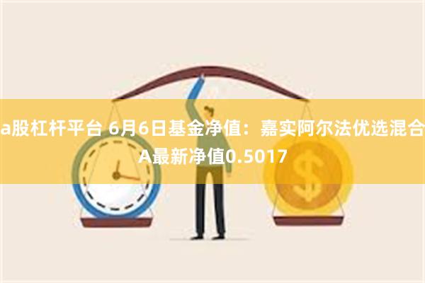 a股杠杆平台 6月6日基金净值：嘉实阿尔法优选混合A最新净值0.5017