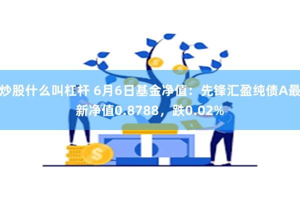 炒股什么叫杠杆 6月6日基金净值：先锋汇盈纯债A最新净值0.8788，跌0.02%