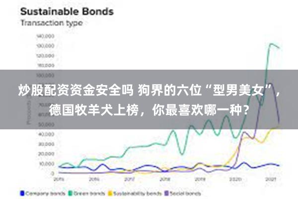 炒股配资资金安全吗 狗界的六位“型男美女”，德国牧羊犬上榜，你最喜欢哪一种？