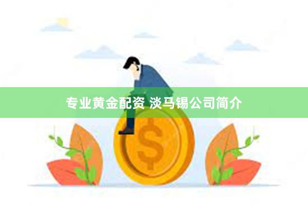 专业黄金配资 淡马锡公司简介