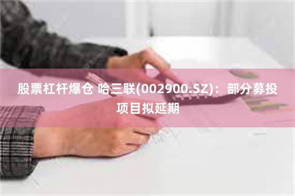 股票杠杆爆仓 哈三联(002900.SZ)：部分募投项目拟延期