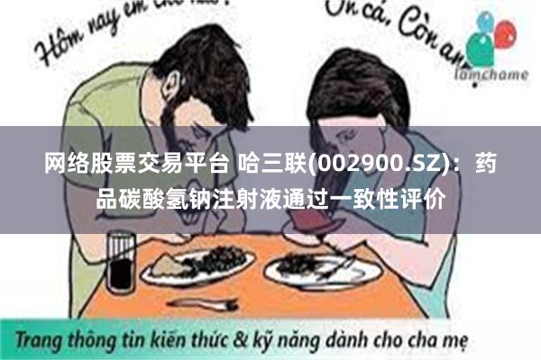 网络股票交易平台 哈三联(002900.SZ)：药品碳酸氢钠注射液通过一致性评价