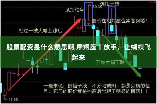 股票配资是什么意思啊 摩羯座丨放手，让蝴蝶飞起来