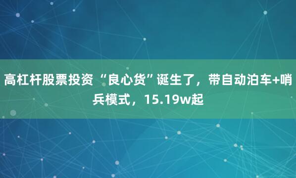 高杠杆股票投资 “良心货”诞生了，带自动泊车+哨兵模式，15.19w起