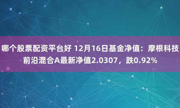 哪个股票配资平台好 12月16日基金净值：摩根科技前沿混合A最新净值2.0307，跌0.92%