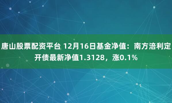 唐山股票配资平台 12月16日基金净值：南方涪利定开债最新净值1.3128，涨0.1%