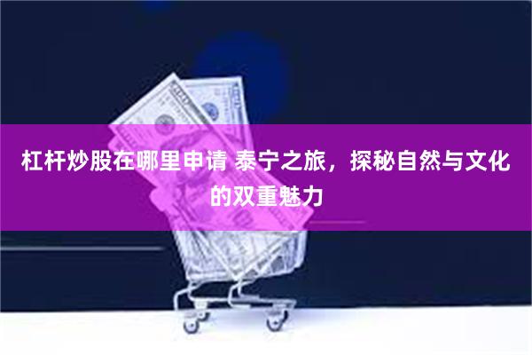 杠杆炒股在哪里申请 泰宁之旅，探秘自然与文化的双重魅力