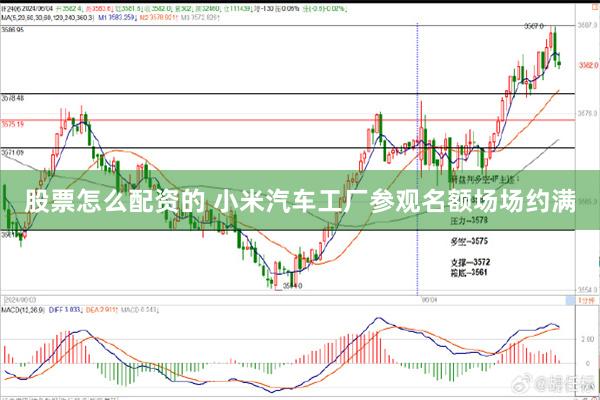 股票怎么配资的 小米汽车工厂参观名额场场约满