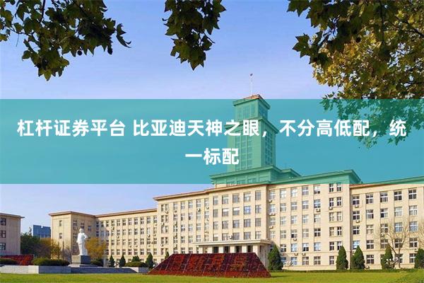 杠杆证券平台 比亚迪天神之眼，不分高低配，统一标配