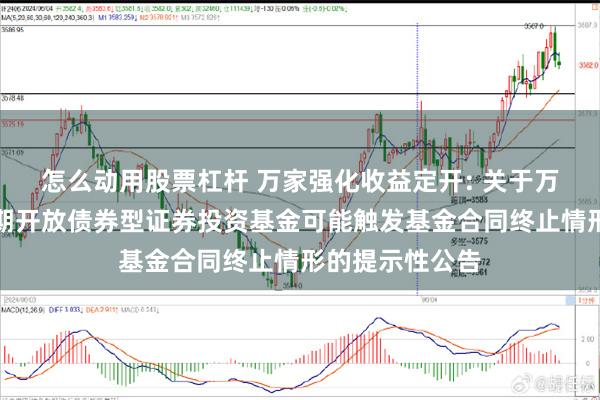 怎么动用股票杠杆 万家强化收益定开: 关于万家强化收益定期开放债券型证券投资基金可能触发基金合同终止情形的提示性公告